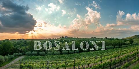 In arrivo sul nostro shop: Bosaloni vini!