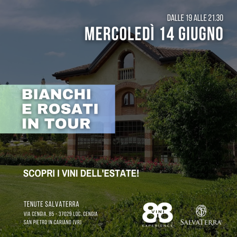 Bianchi e rosati in tour: Scopri i vini dell'estate!